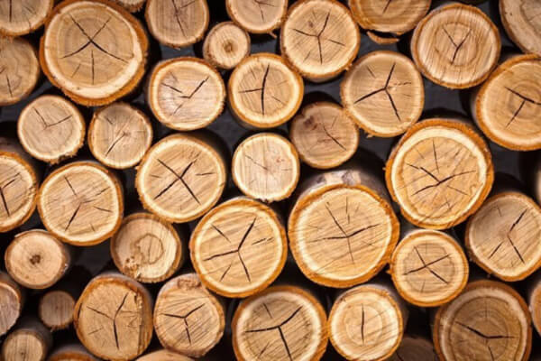  Các dòng gỗ keo có độ thoáng khí tốt, nguồn cung dồi dào